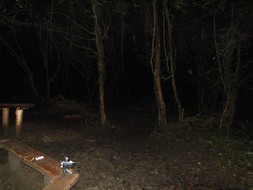 Avon Paranormal Team - Stoke Park Estate